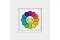 [품절] Rainbow Flower, レインボーフラワーさん, 2020